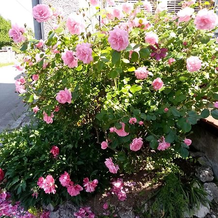 Gite Les 27 Roses Et Plus Châtel-Censoir Exterior photo